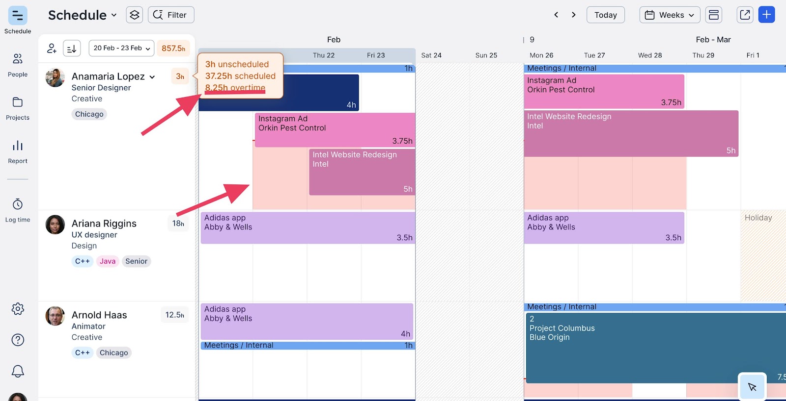 Capacity indicators in Float showing team member's overtime