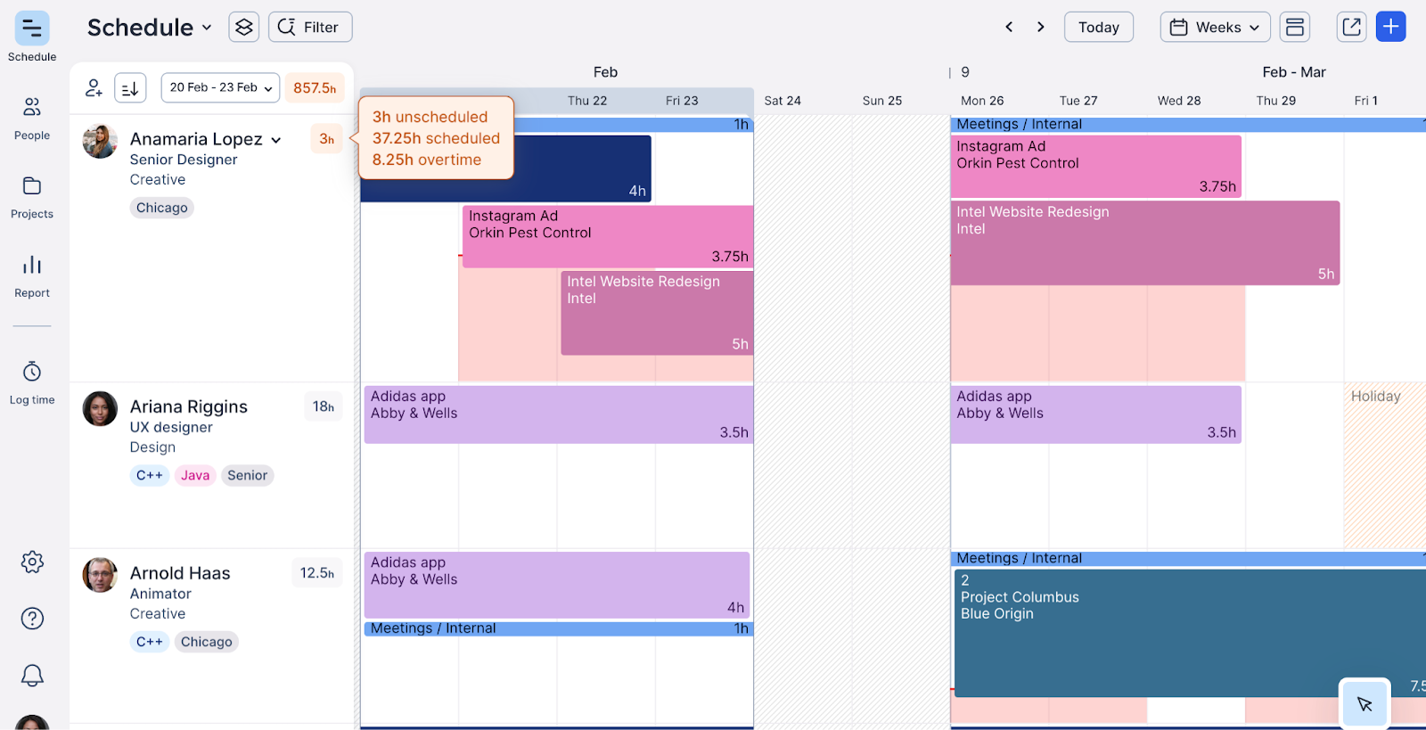 An overview of a team's schedule in Float