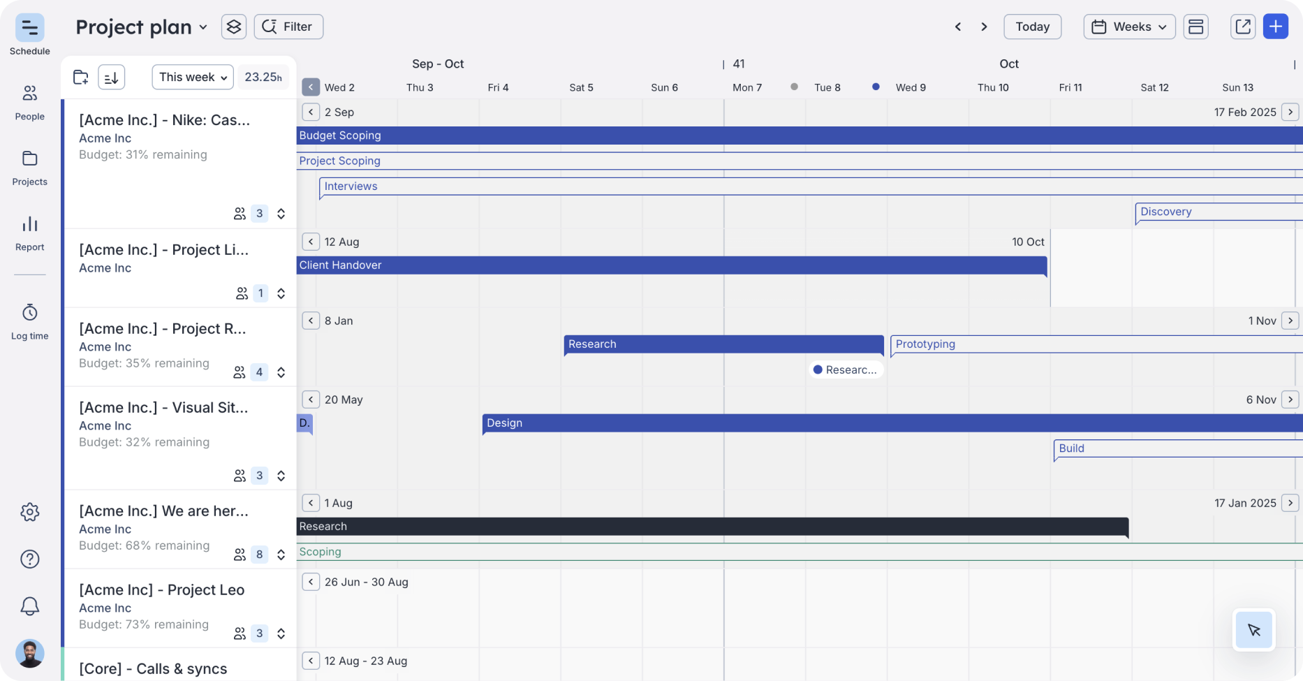 Show tentative versus confirmed phases on the project plan