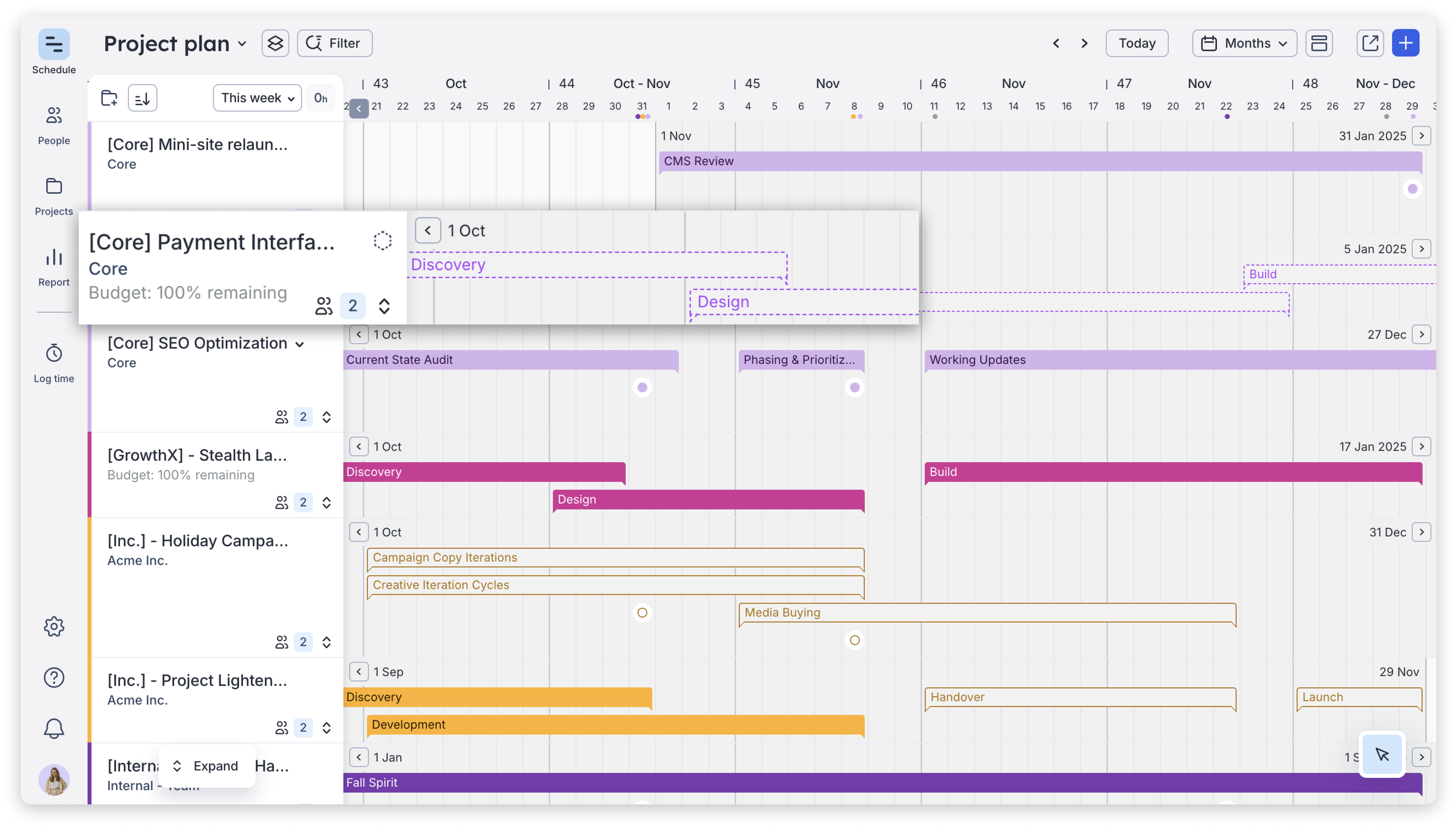 Draft Project Status - Project Plan View