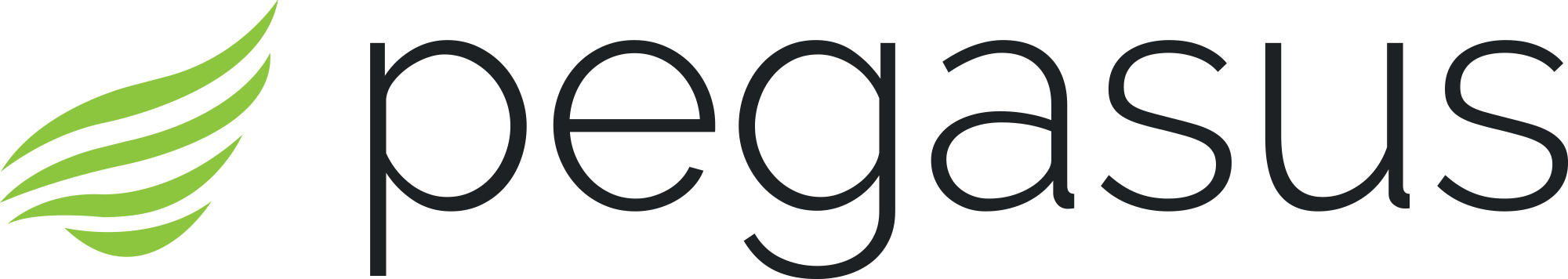 Pegasus Systems
