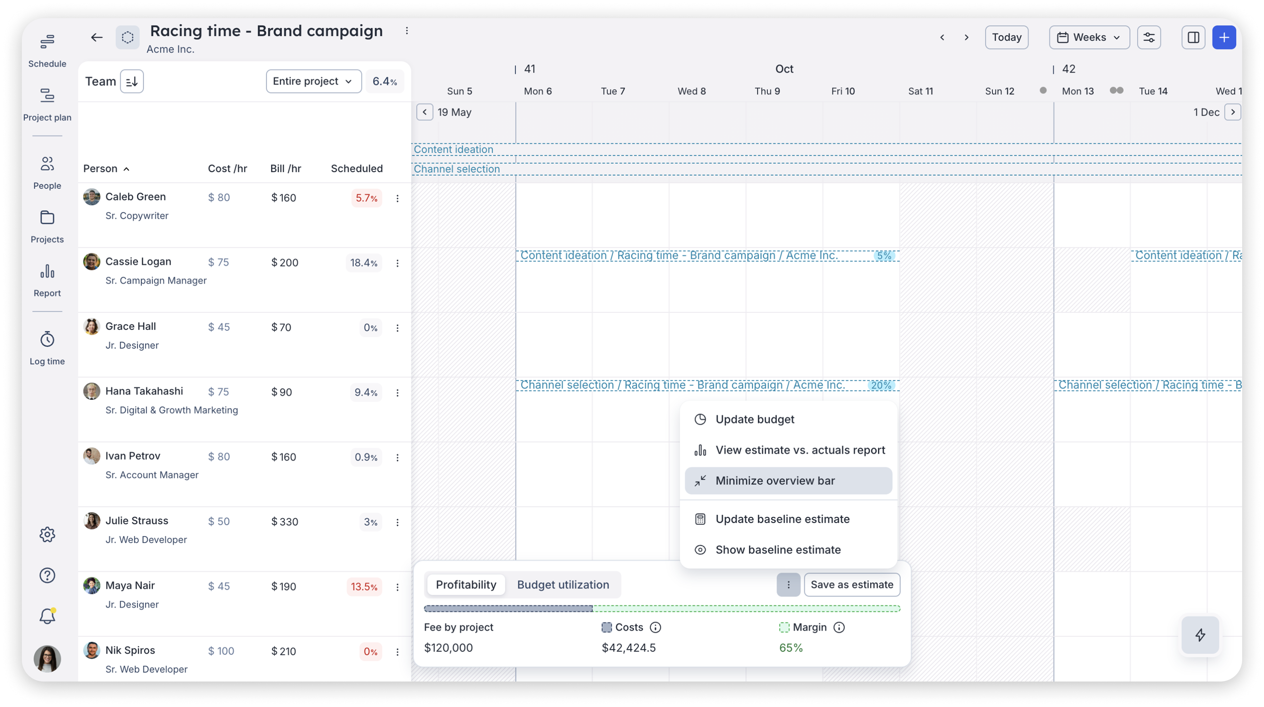 A screenshot showing where you can select to show or hide the project overview bar in Float.